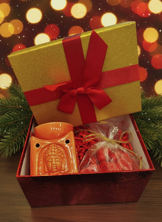 Christmas Gift Box Melts & Melter